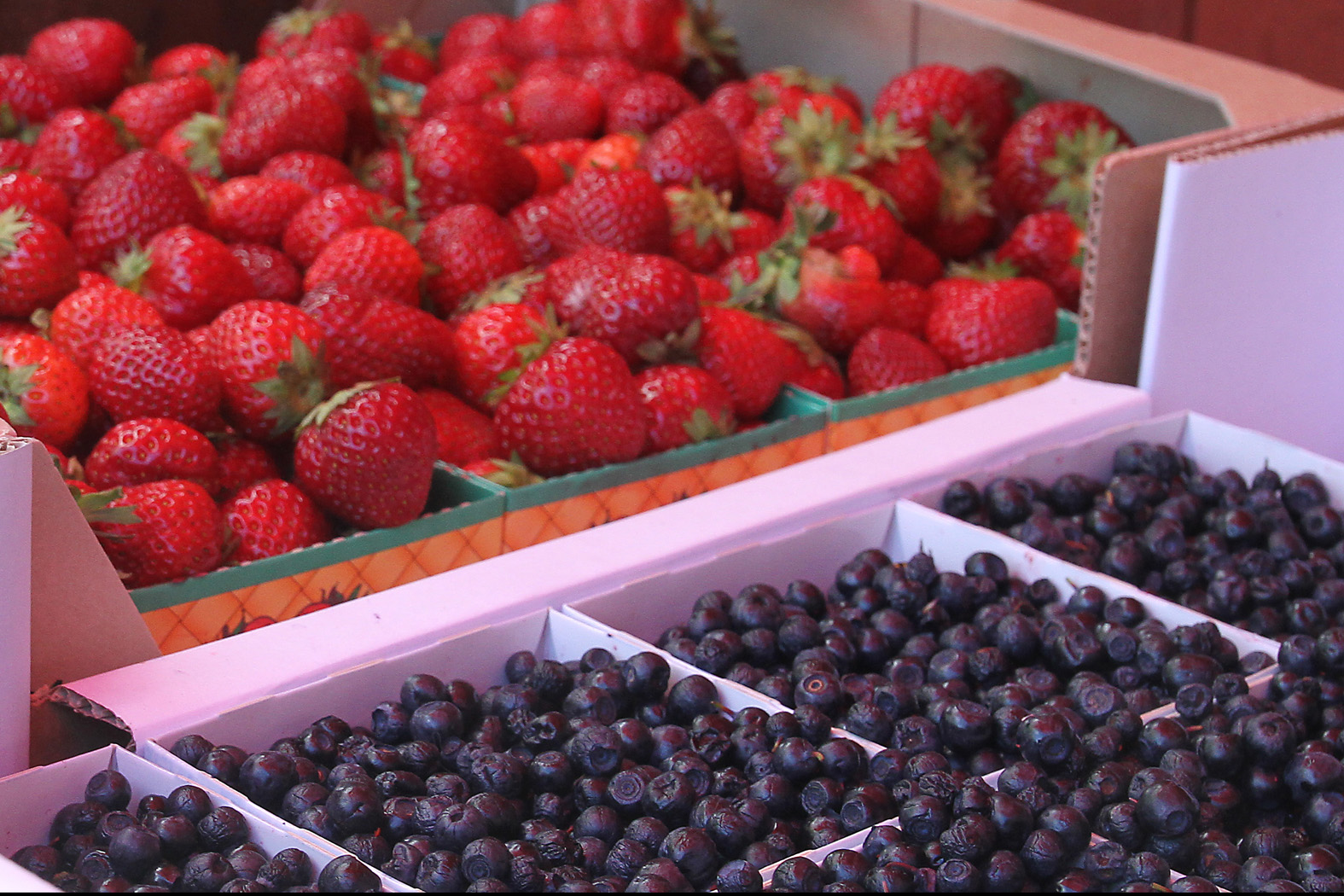 jordgubbar och blåbär på Gotland